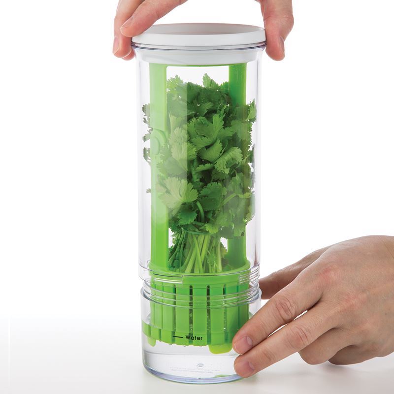 1099-prep-solutions-by-progressive-8211-herb-keeper--3.jpg Prep Solutions by Progressive – Herb Keeper